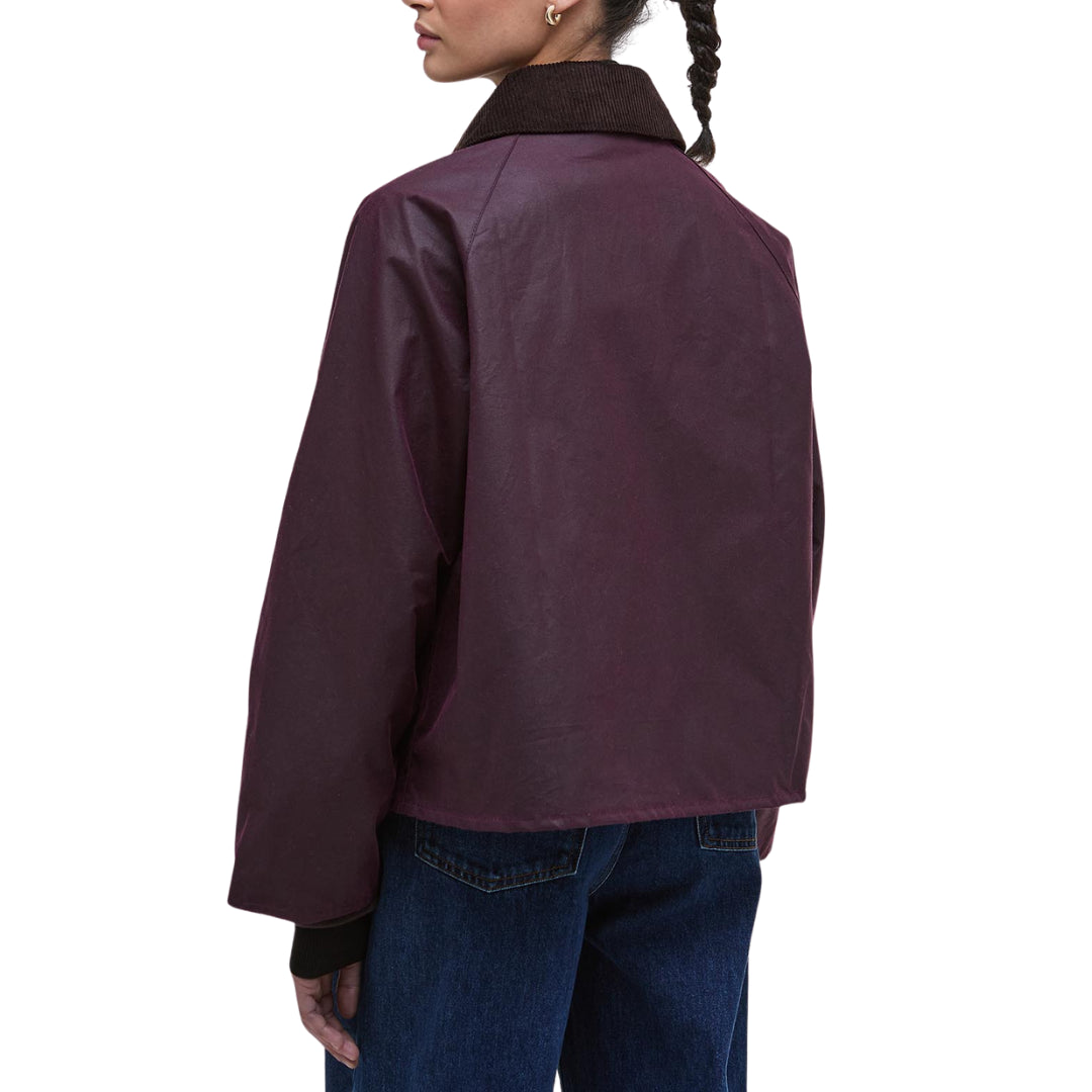 Giacca  -  Barbour