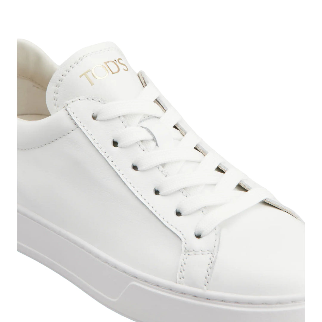 Scarpe  -  TOD'S