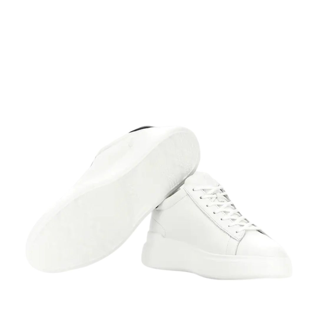 Sneakers  -  Hogan