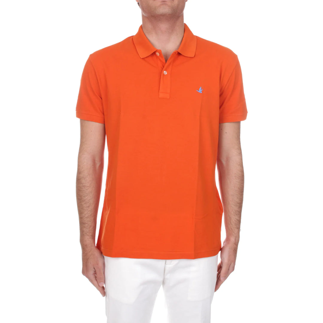 Polo  -  Brooksfield