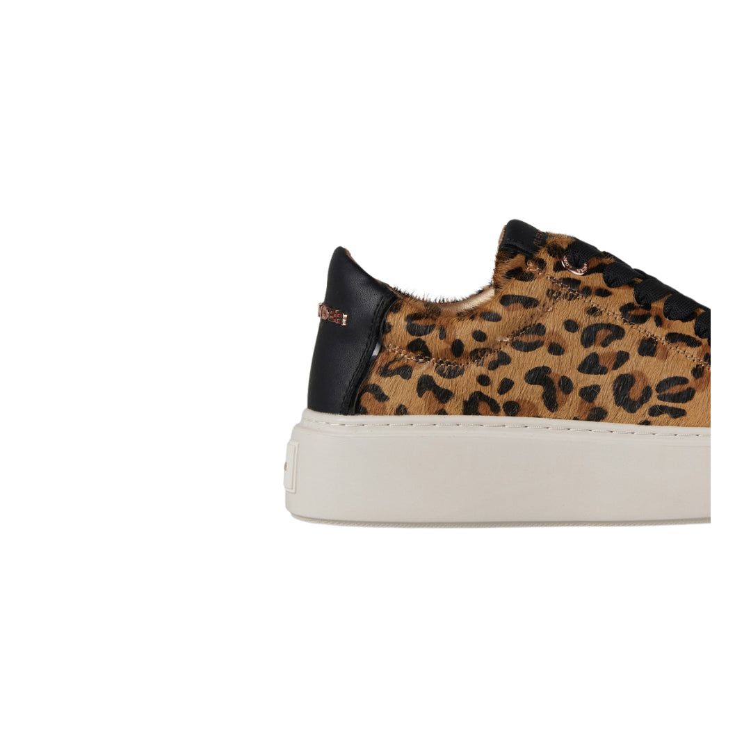 Sneakers  -  ALEXANDER SMITH