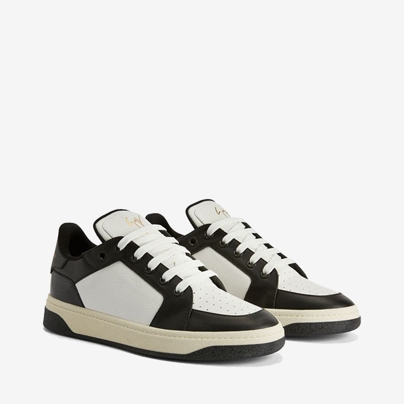 sneakers  -  Giuseppe Zanotti