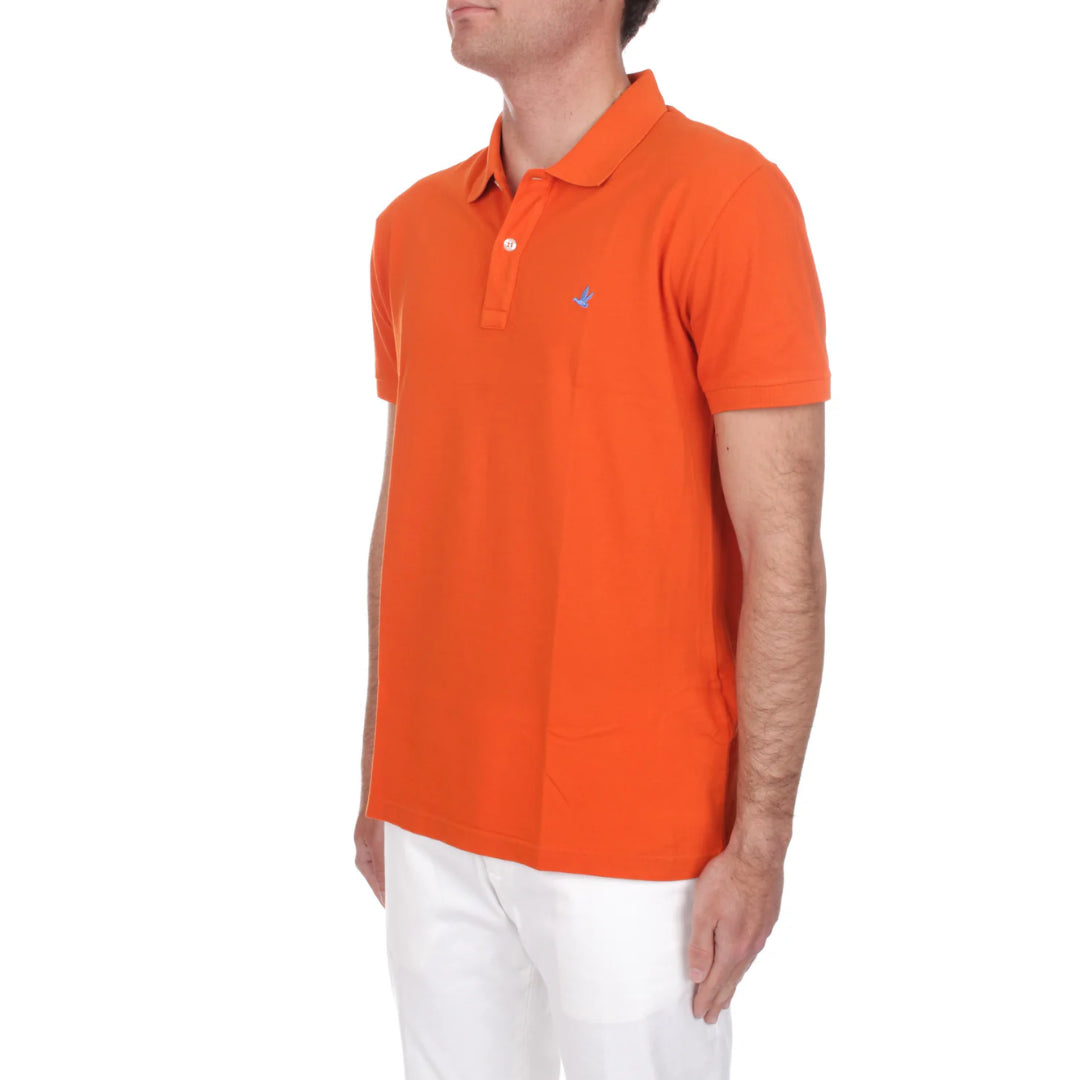 Polo  -  Brooksfield
