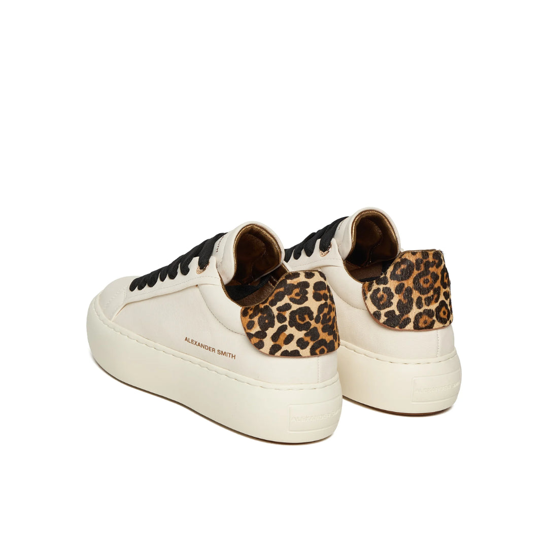 Sneakers  -  ALEXANDER SMITH