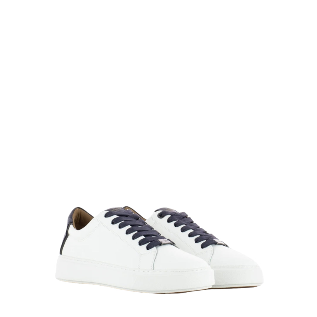 Sneakers  -  ALEXANDER SMITH
