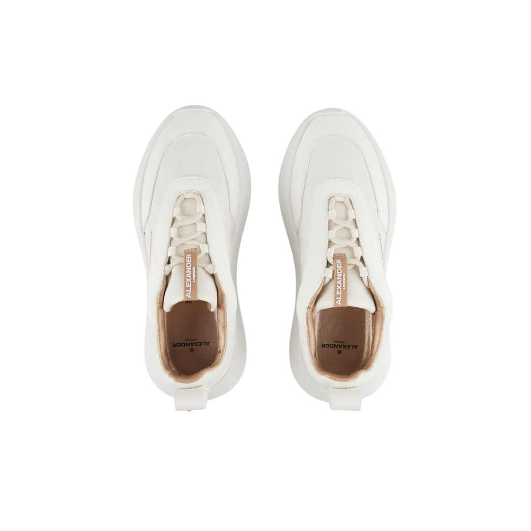 Sneakers  -  ALEXANDER SMITH