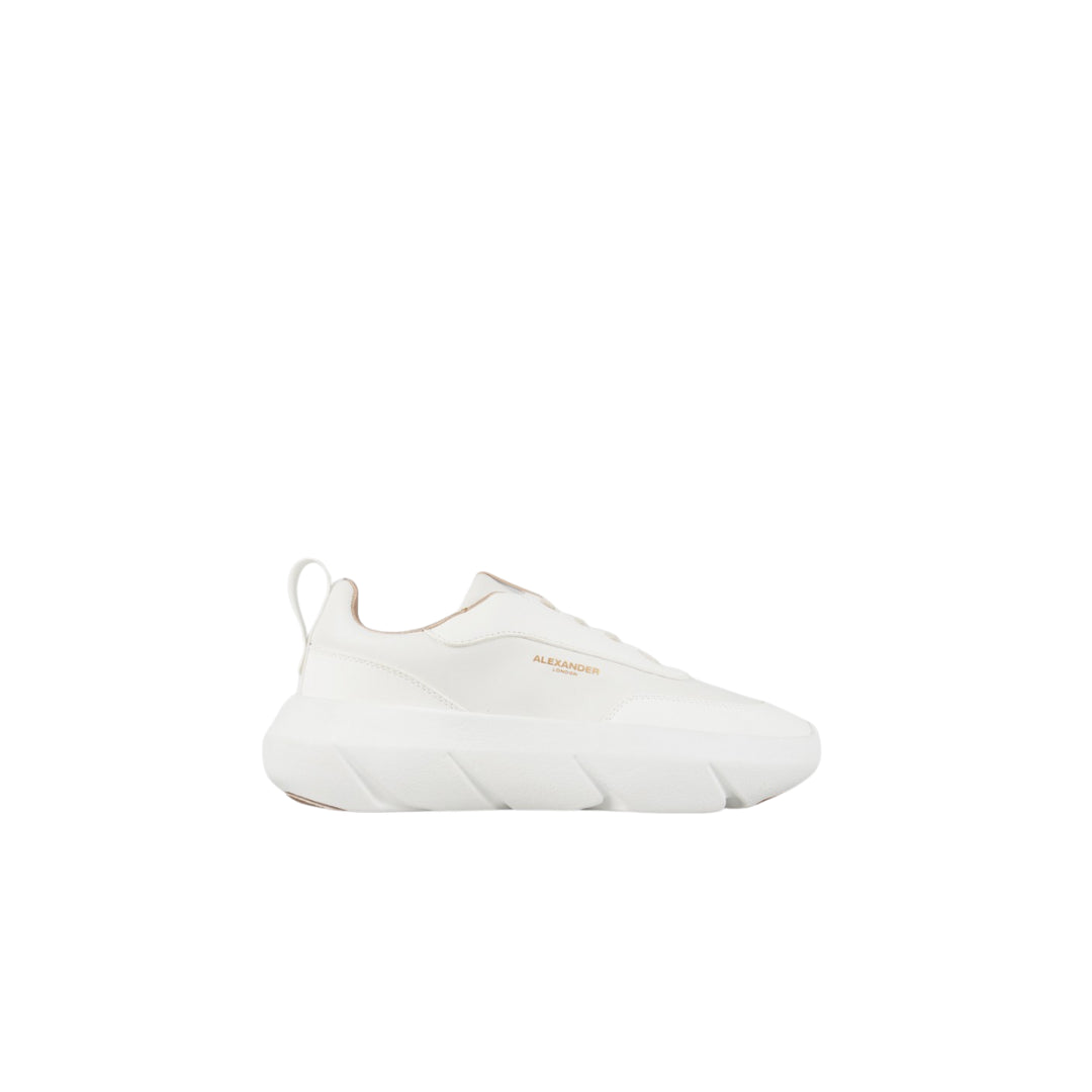 Sneakers  -  ALEXANDER SMITH