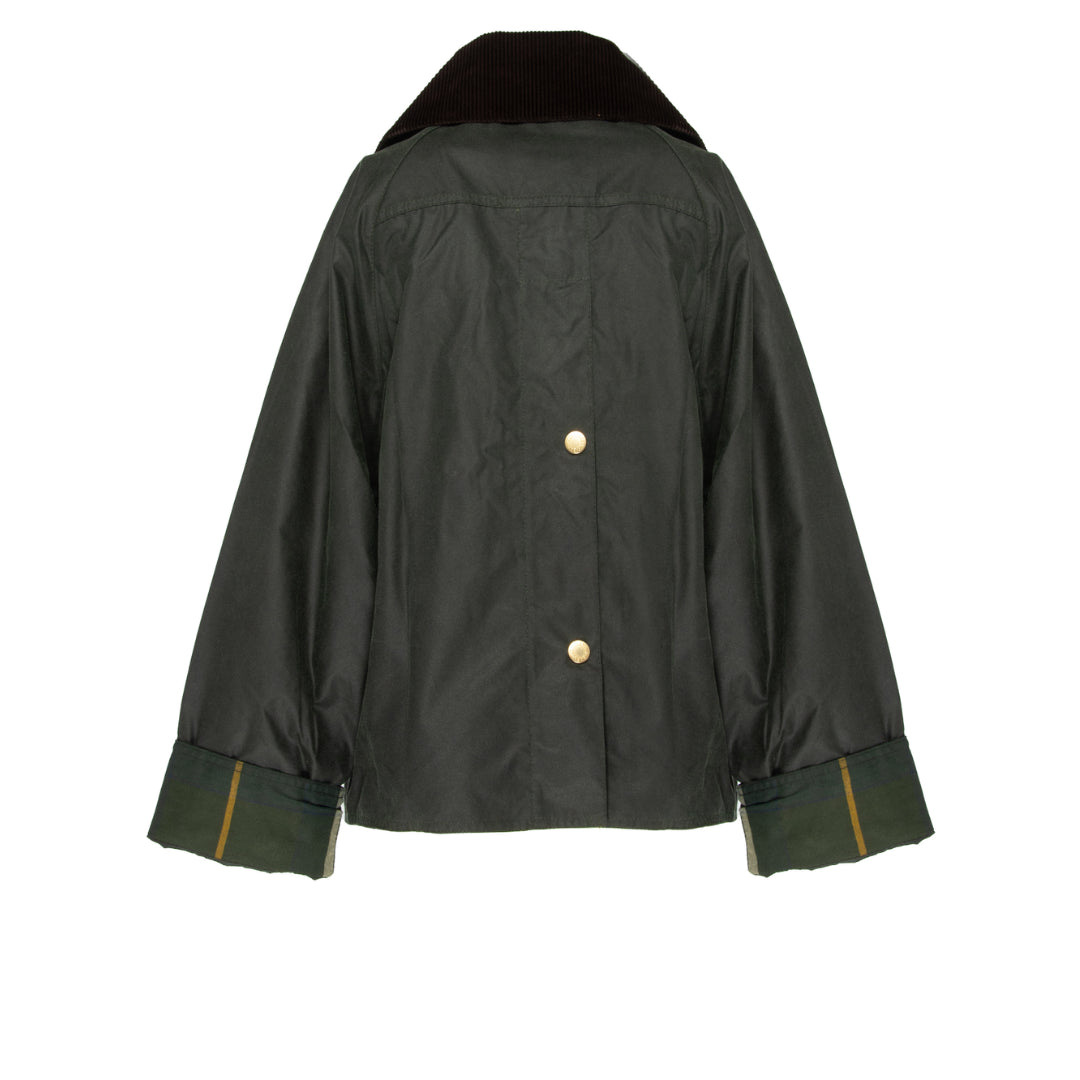 Giacca  -  Barbour